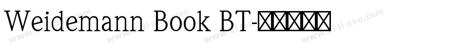 Weidemann Book BT字体转换